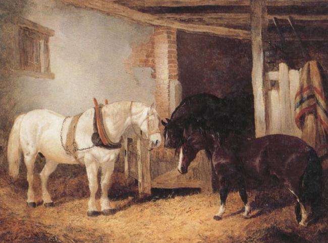 John Frederick Herring Three Horses in A stable,Feeding From a Manger Sweden oil painting art